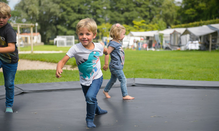 De gezelligste en kindvriendelijke camping van Limburg