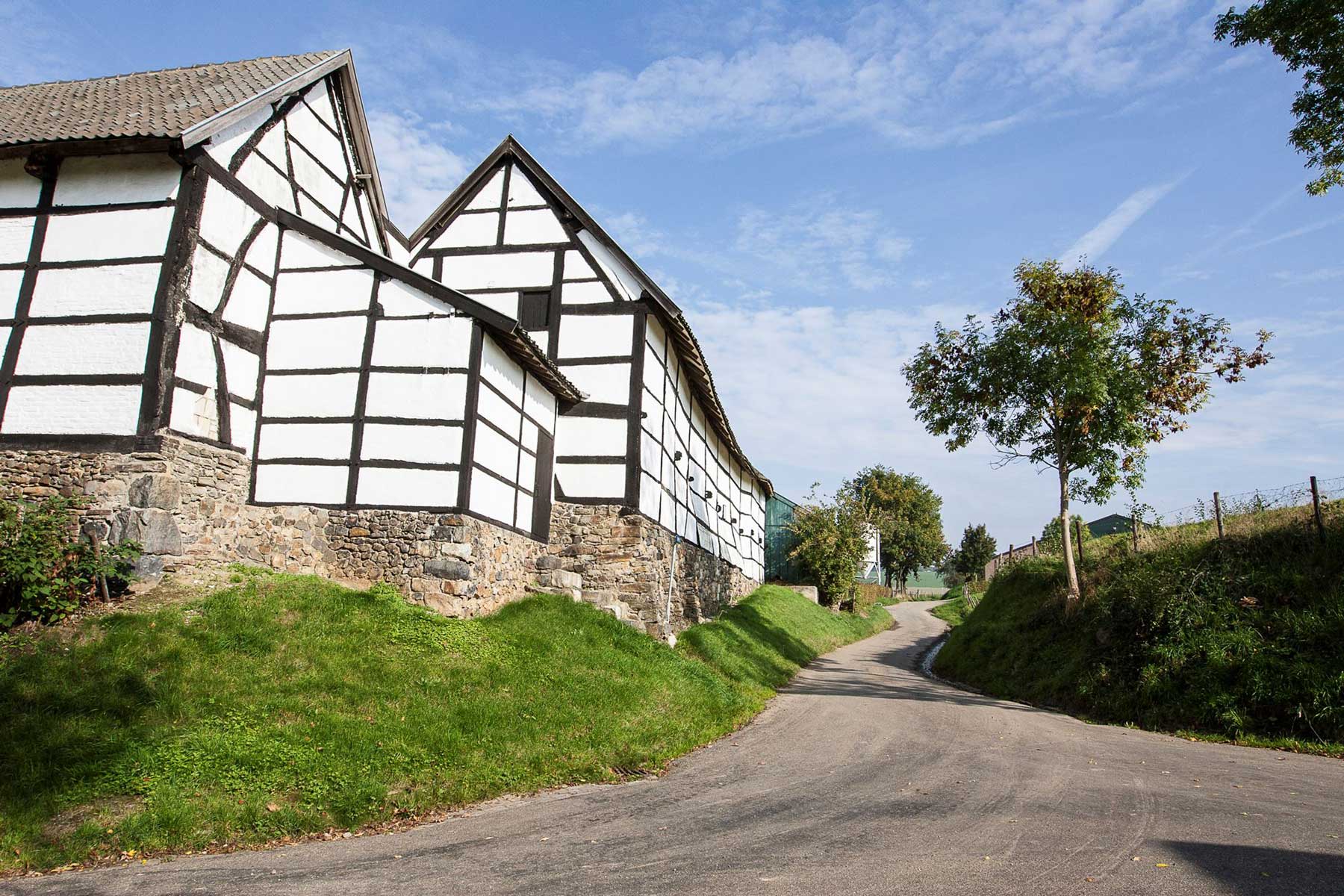 Video Limburg Video Limburg