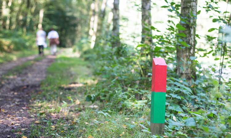 wandelen-limburg