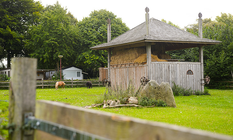 Boerderijcamping Mareveld in Limburg